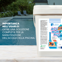 ACL MULTIPLUS Pastiglie multifunzione cloro pulizia acqua piscina secchielli 10 kg