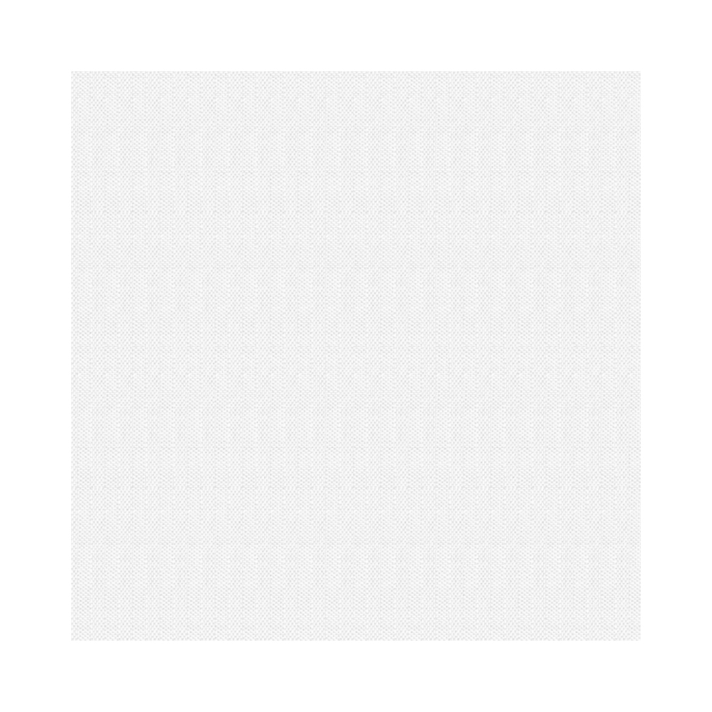 4450000 Tovaglioli oxford bianco 40x40 cm (50pz/cf) (12cf/ca) 