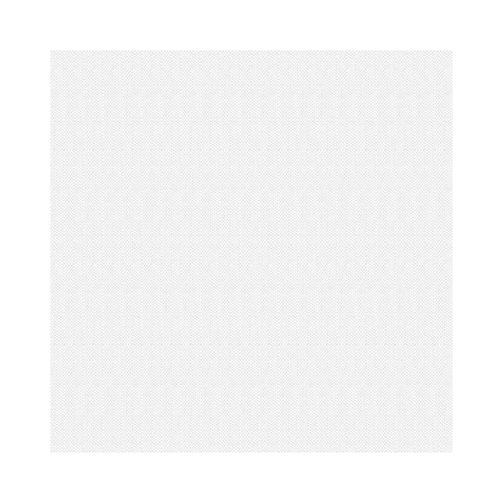 4450000 Tovaglioli oxford bianco 40x40 cm (50pz/cf) (12cf/ca) 
