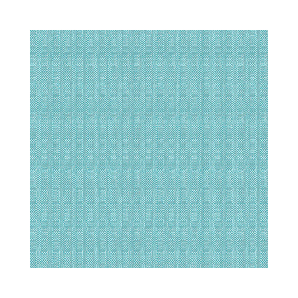 4451111 Tovaglioli tinta unita azzurro 40x40 cm (50pz/cf) (12cf/ca) 