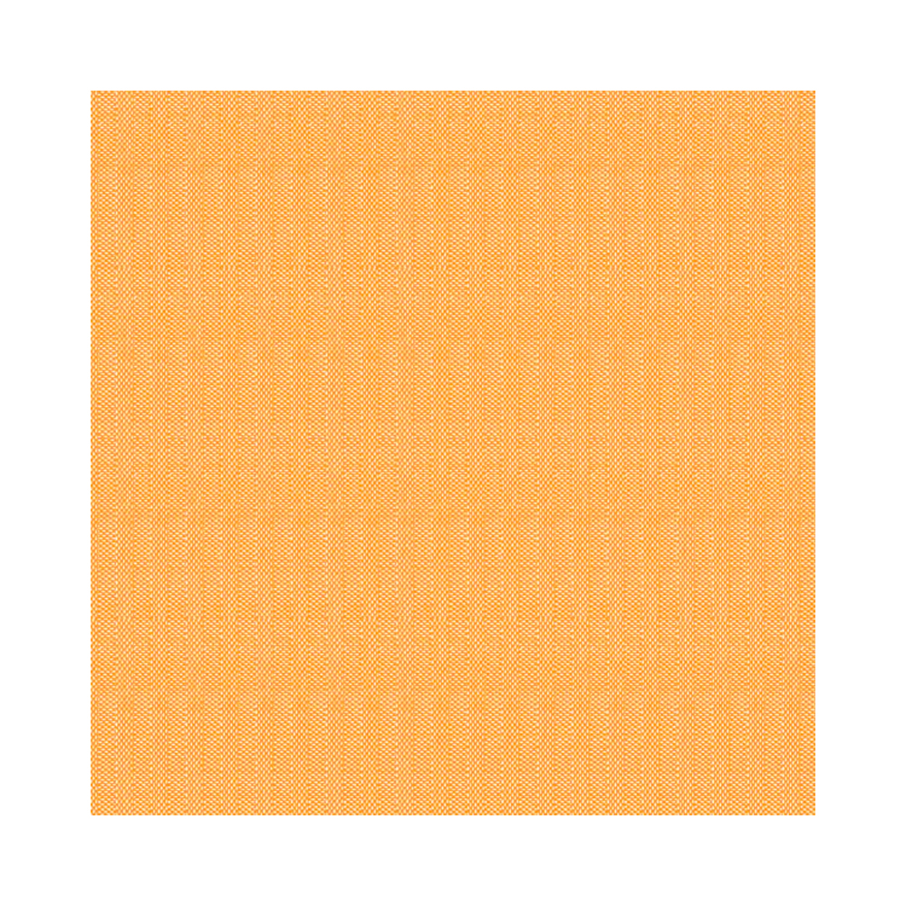 4461606 Tovaglioli basic arancioni 40x40 cm (50pz/cf) (12cf/ca) 