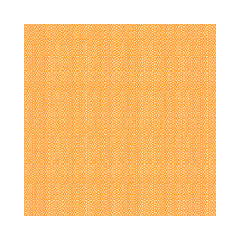 4461606 Tovaglioli basic arancioni 40x40 cm (50pz/cf) (12cf/ca) 