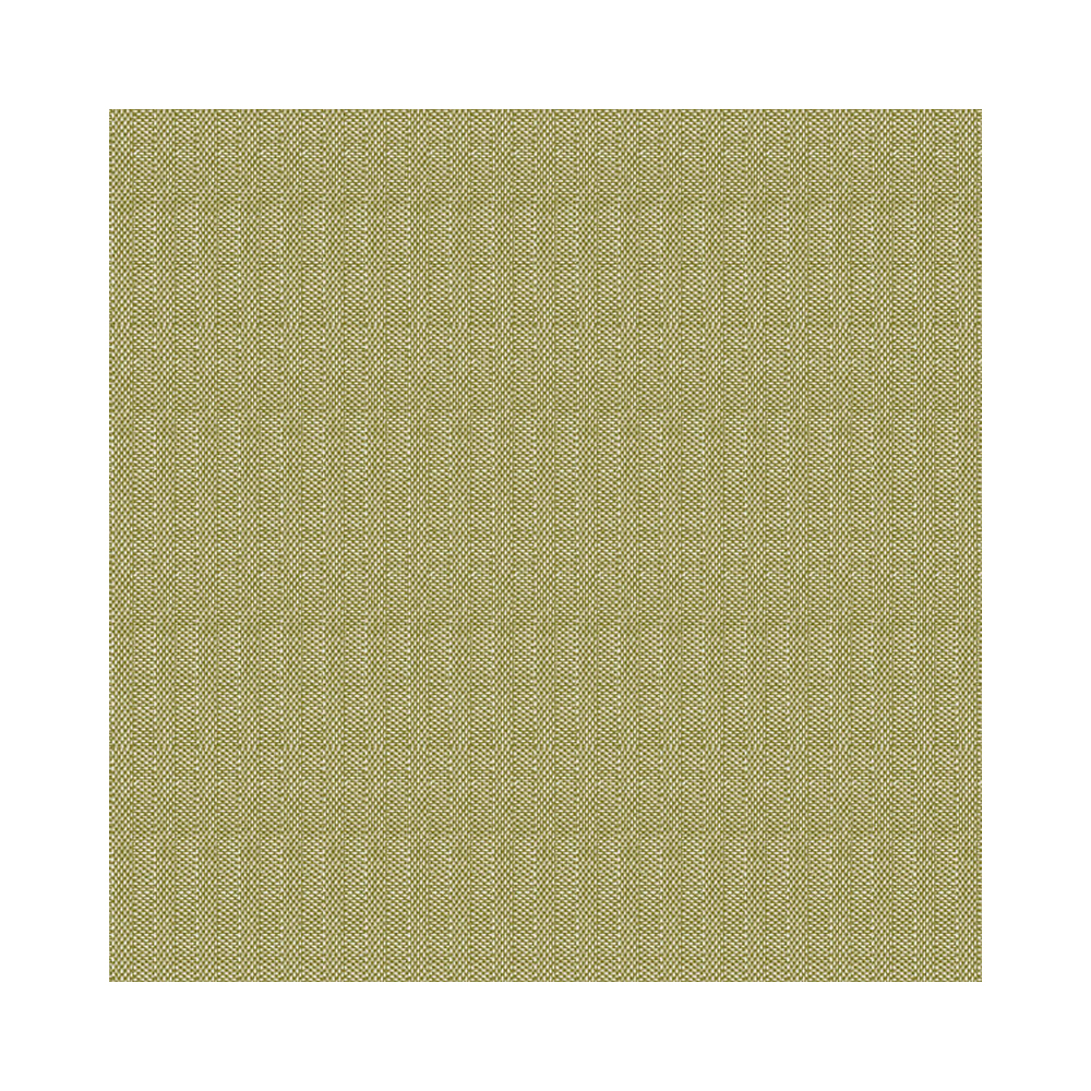 4461644 Tovaglioli basic oliva 40x40 cm (50pz/cf) (12cf/ca) 