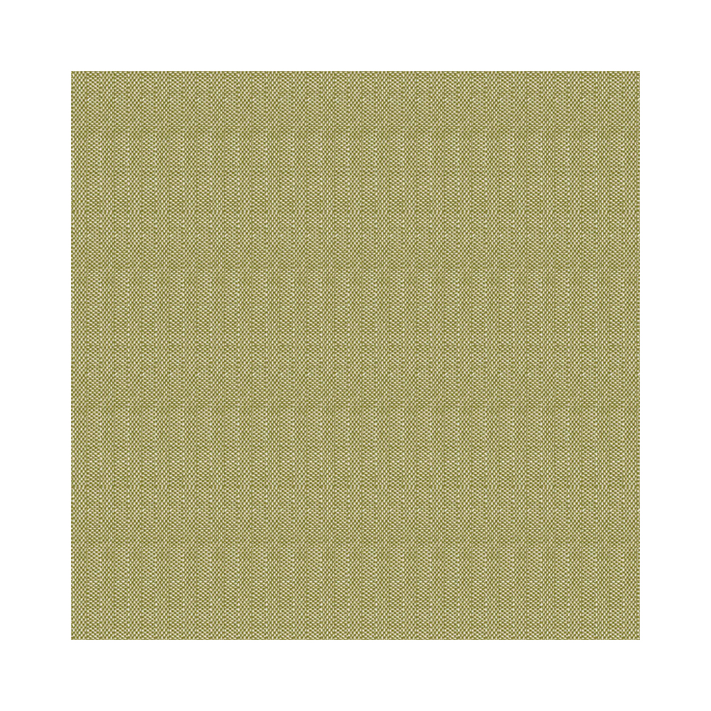4461644 Tovaglioli basic oliva 40x40 cm (50pz/cf) (12cf/ca) 