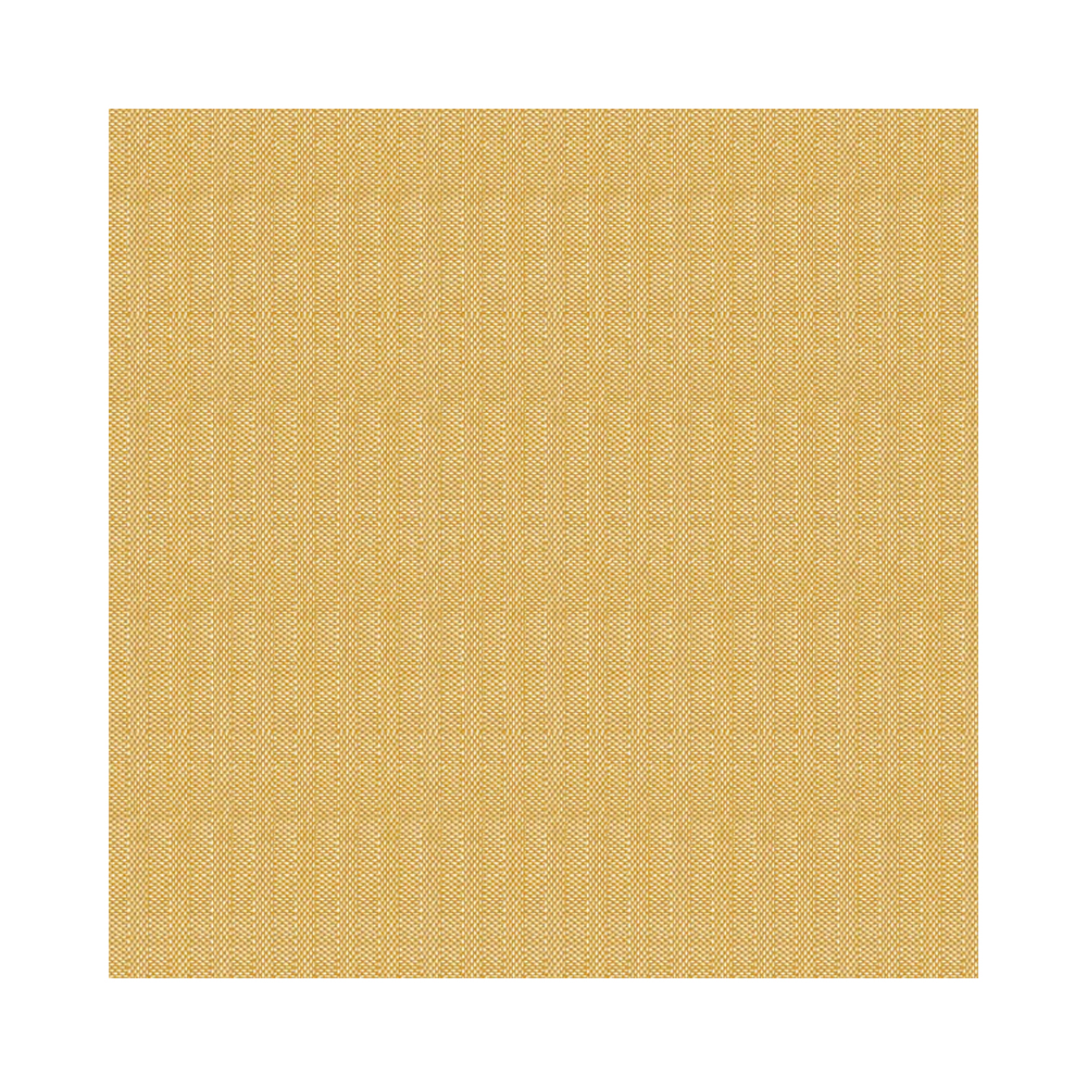 4461649 Tovaglioli basic ocra 40x40 cm (50pz/cf) (12cf/ca) 