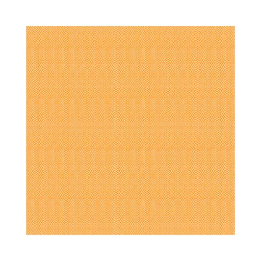 [SNTS0040] 4461606 Tovaglioli basic arancioni 40x40 cm (50pz/cf) (12cf/ca) 