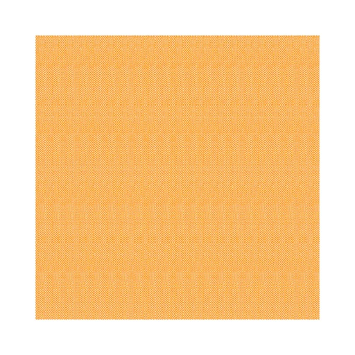 [SNTS0040] 4461606 Tovaglioli basic arancioni 40x40 cm (50pz/cf) (12cf/ca) 