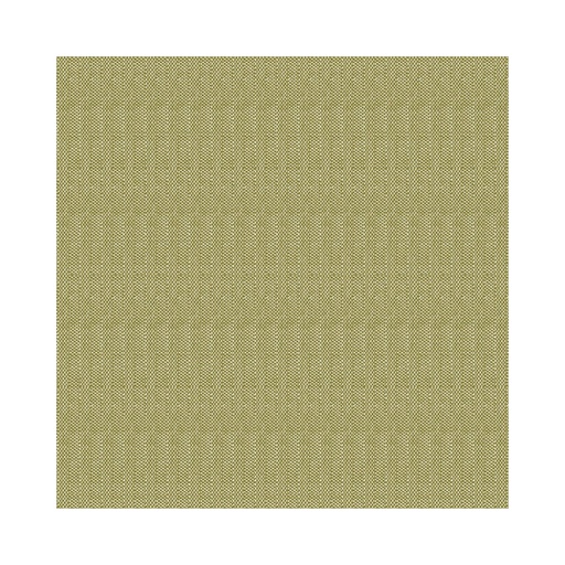 [SNTS0036] 4461644 Tovaglioli basic oliva 40x40 cm (50pz/cf) (12cf/ca) 