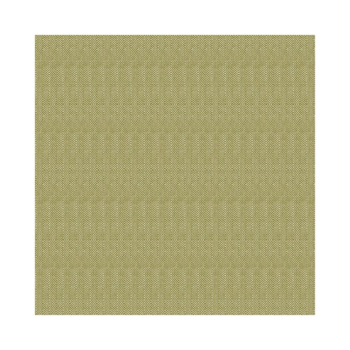 [SNTS0036] 4461644 Tovaglioli basic oliva 40x40 cm (50pz/cf) (12cf/ca) 
