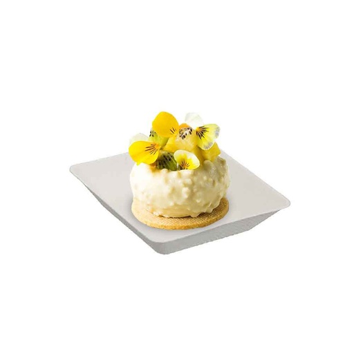 [BRN0022] 550007 Fingerfood Polpa Plat 60ml 6.6x6.6 h1.5cm pz/cf 25